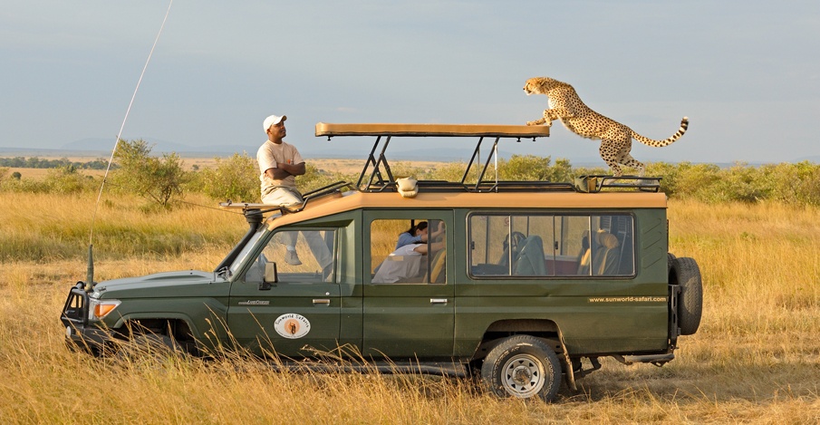 Wildlife Safaris